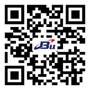 the qr code